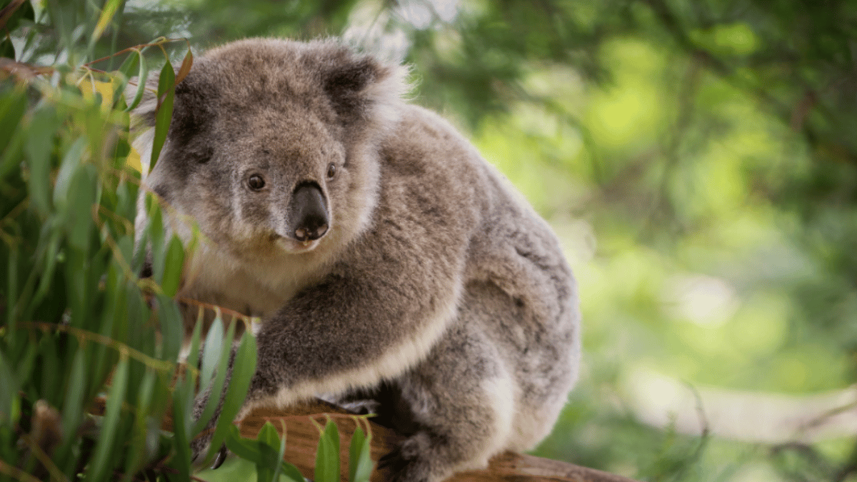 Representative Image (Source: Pexels)