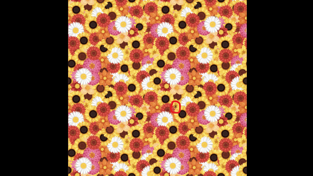 Spot the bee in under 15 seconds. (Source: The Sun)