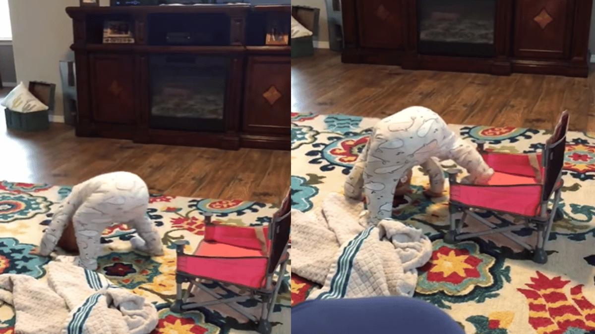 toddler-technique-to-sit-on-a-chair-will-leave-you-rofling-viral-video-is-too-cute-to-miss
