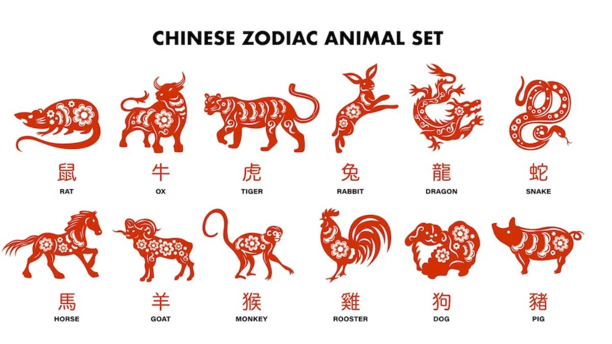 Which Are The 12 Chinese Zodiac Signs? Check Complete Guide On ...