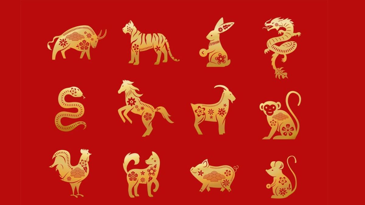 Chinese Zodiac: 2024 Year of Dragon, 12 Animal Signs, Calculator