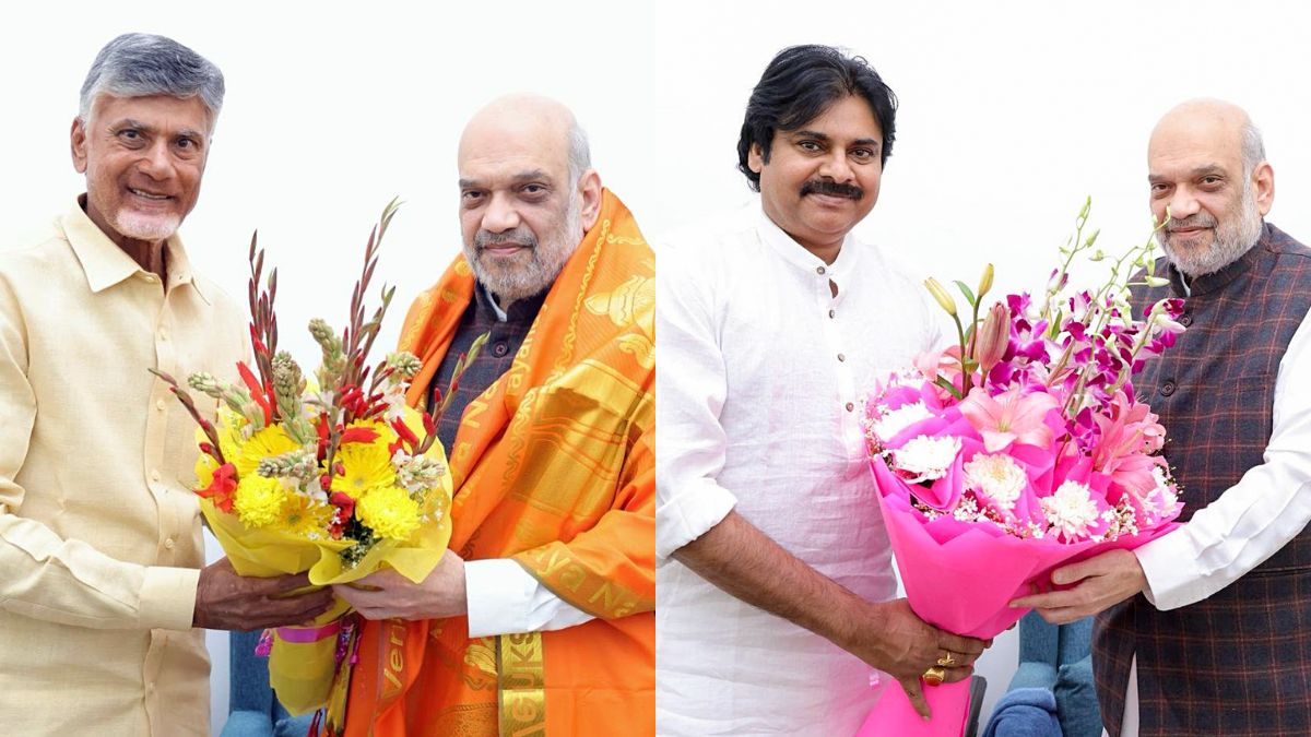 BJP Finalises Alliance With TDP, Pawan Kalyan's Jana Sena In Andhra ...