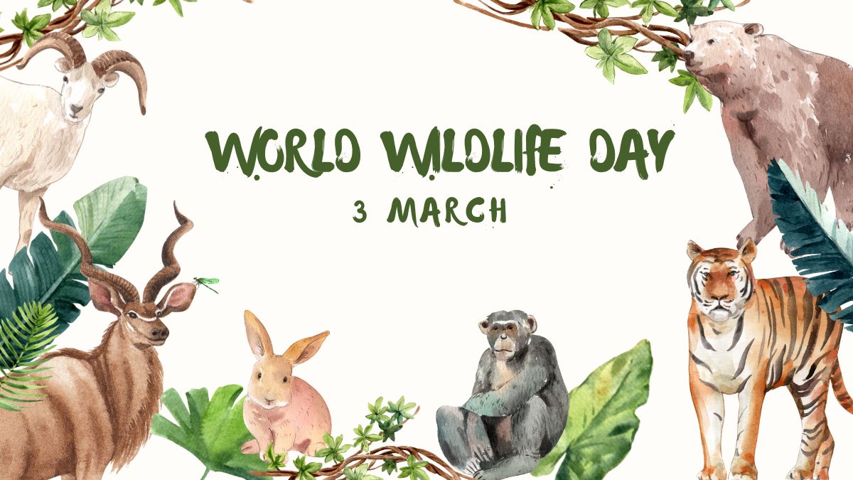 World Wildlife Day 2024 Wishes, Quotes, Messages, WhatsApp And
