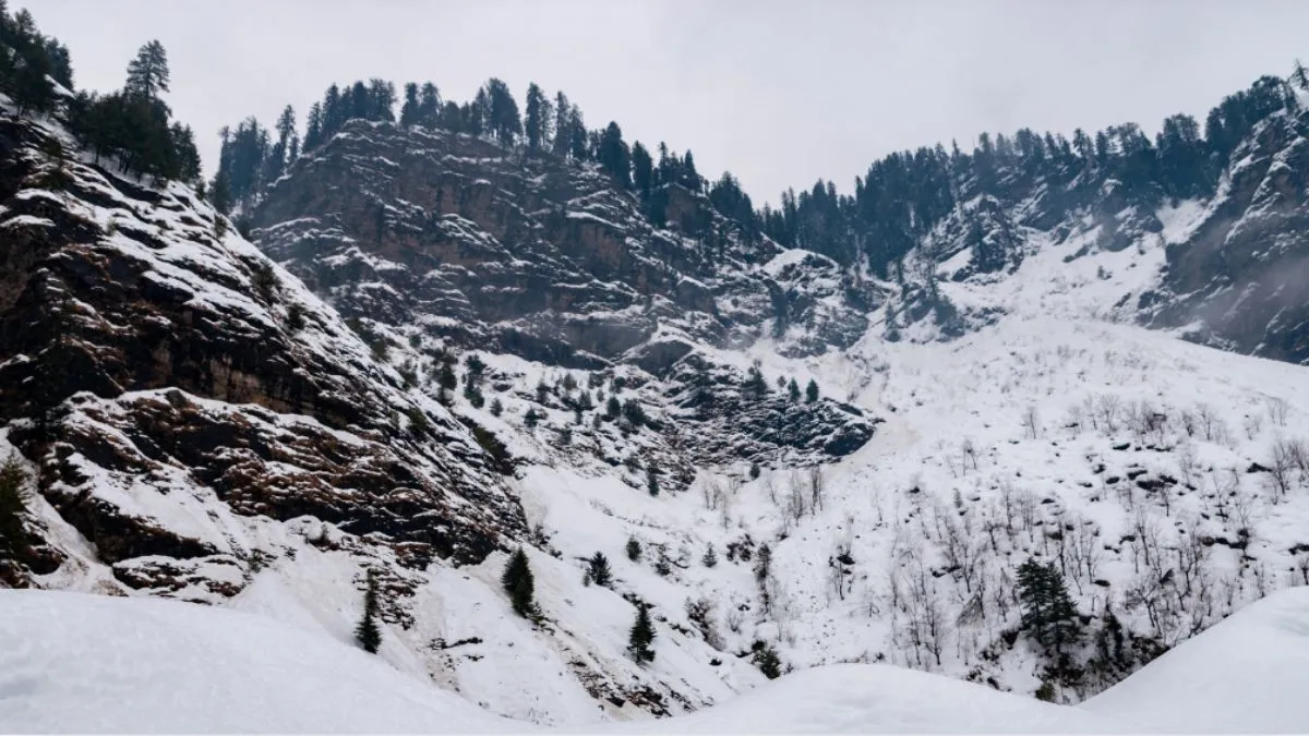 North India Weather Cold Waves, More Snowfall Likely In January; IMD