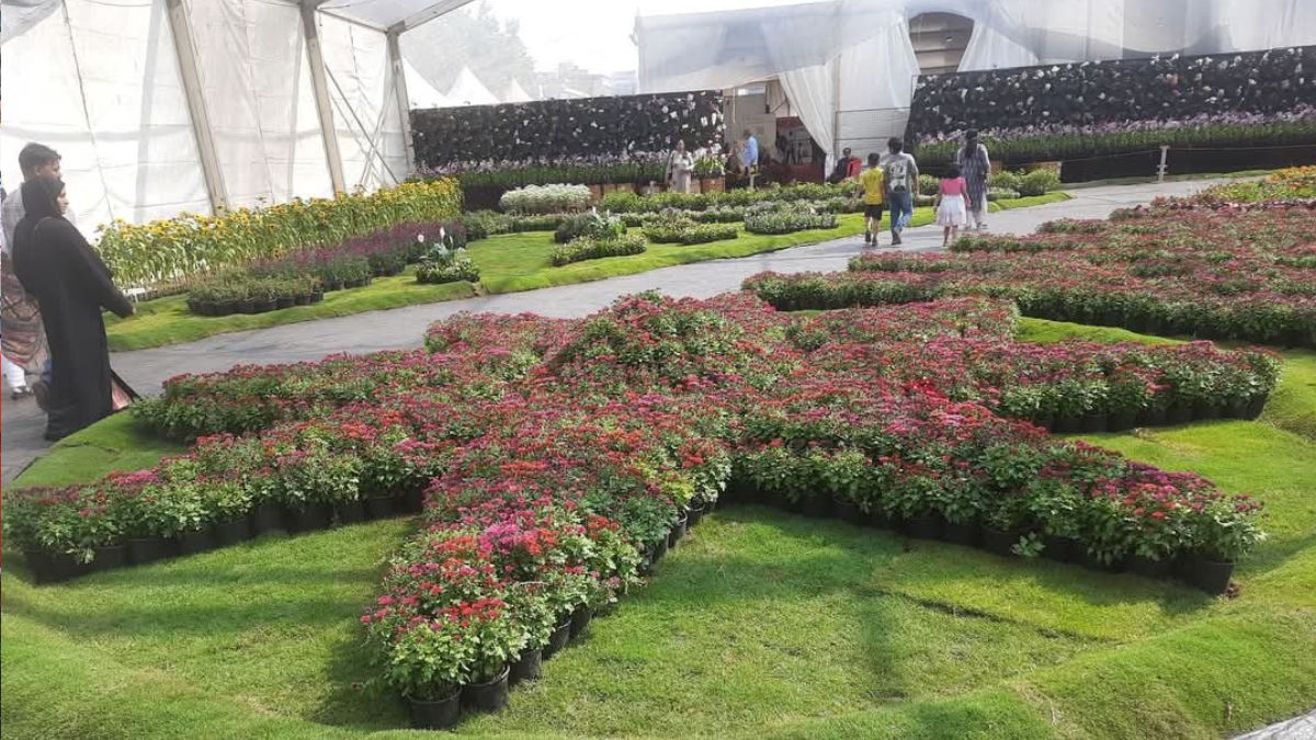 kochi-flower-show-receives-stop-memo-on-last-day-for-safety-lapses-after-mla-uma-thomas-accident