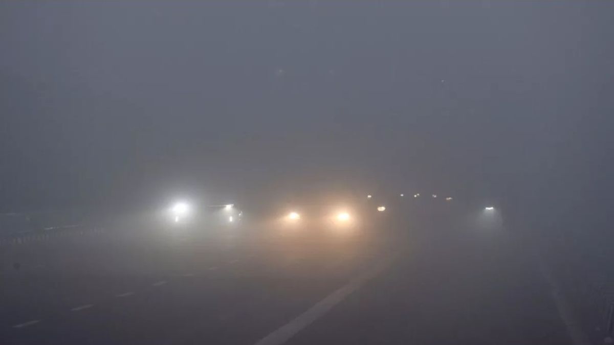 delhi-weather-update-imd-yellow-alert-delhi-flight-delay-train-cancelled-igi-airport-dense-fog-cold-wave