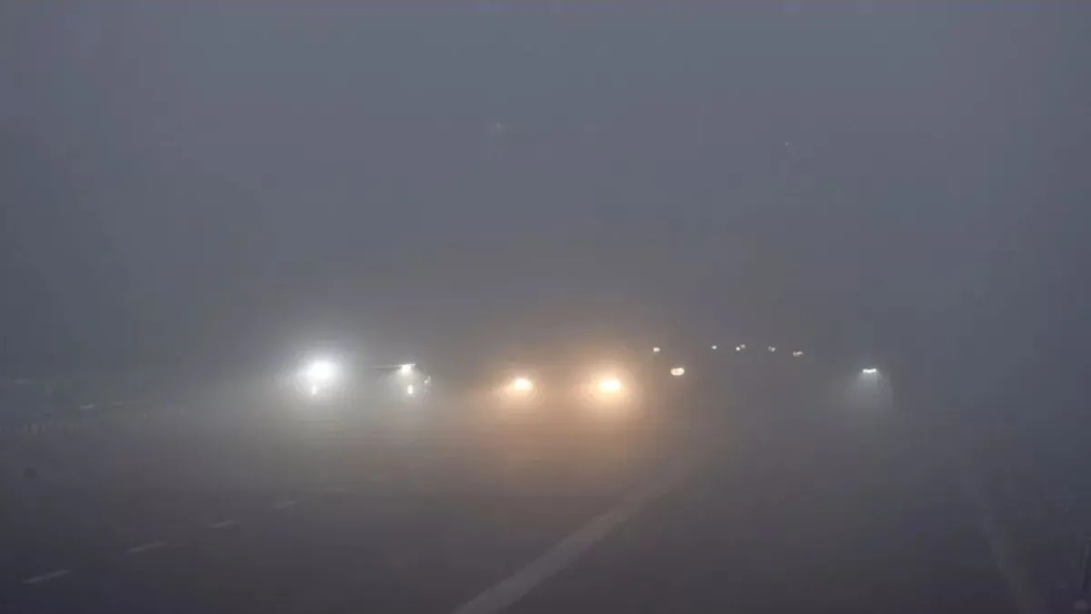 delhi-weather-update-imd-yellow-alert-delhi-flight-delay-train-cancelled-igi-airport-dense-fog-cold-wave