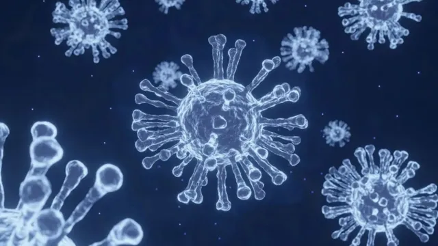 hmpv-outbreak-delhi-hospitals-on-high-alert-amid-surge-in-cases-in-china-details-hmpv-virus-cases