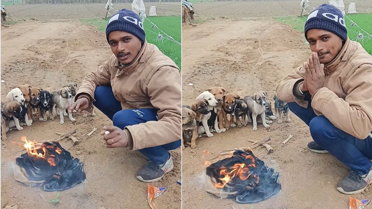 heartwarming-viral-video-man-lights-bonfire-to-keep-puppies-warm-in-winter-netizens-call-him-guardian-angel