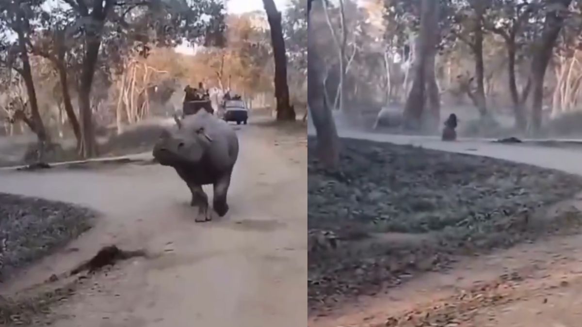 heart-stopping-moment-mother-and-daughter-safari-adventure-nearly-turns-tragic-in-kaziranga-viral-video