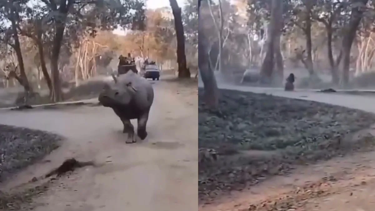 heart-stopping-moment-mother-and-daughter-safari-adventure-nearly-turns-tragic-in-kaziranga-viral-video