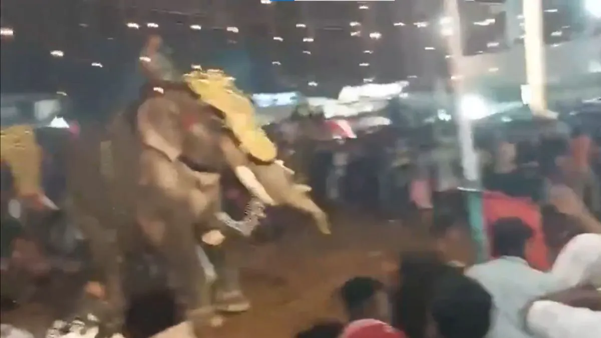 kerala-17-injured-after-elephant-ran-amok-at-malappuram-annual-mosque-festival-video