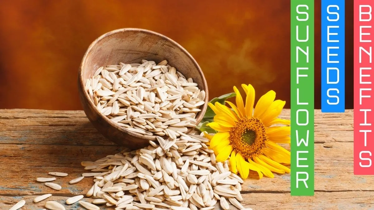 4-health-benefits-of-eating-one-spoon-of-sunflower-seeds-daily