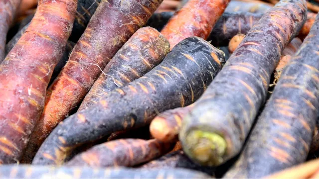 4-health-benefits-of-black-carrot-you-should-know