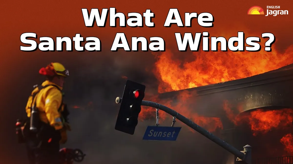 los-angeles-wildfires-what-are-santa-ana-winds-how-they-are-fuelling-the-most-destructive-fire-in-la-history