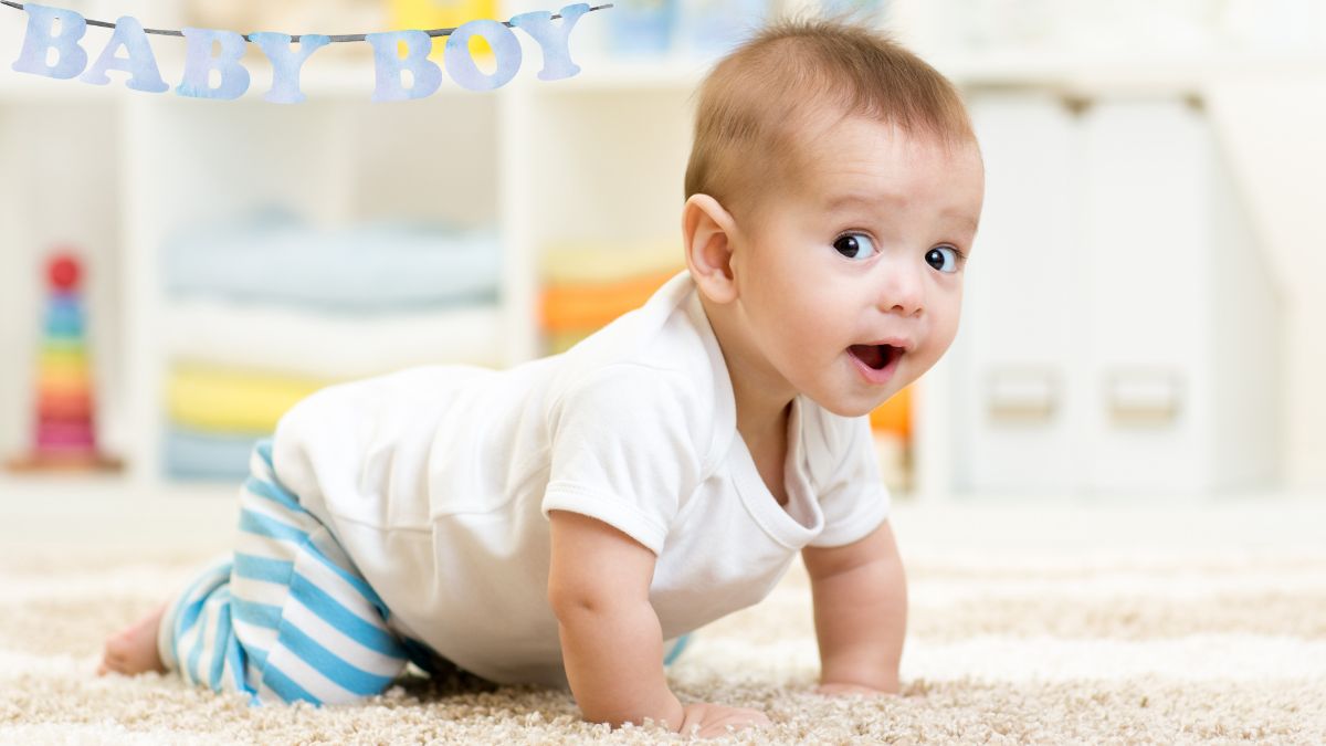 53-unique-sikh-baby-boy-names-starting-with-v-and-their-meanings-complete-guide-january-2025