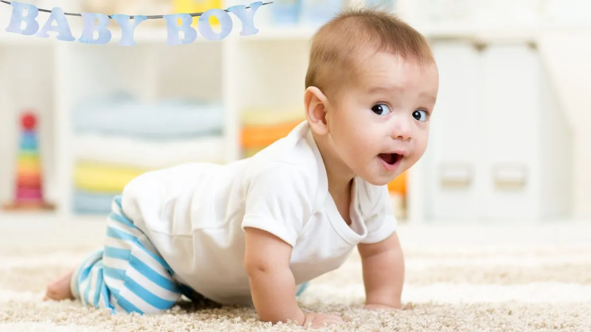 53-unique-sikh-baby-boy-names-starting-with-v-and-their-meanings-complete-guide-january-2025