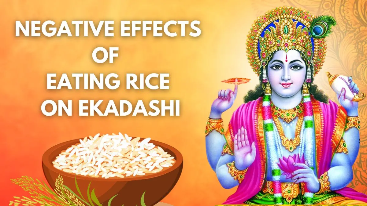 Vaikunta Ekadashi 2025 5 Negative Effects Of Eating Rice On Ekadashi