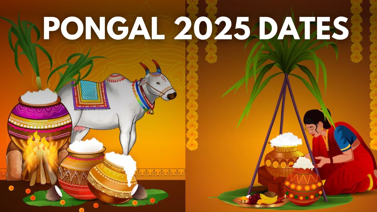 Pongal 2025 Date, Time, Significance And DayWise Rituals Of This