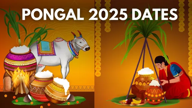 pongal-2025-date-time-significance-and-daywise-rituals-of-this-harvest-festival