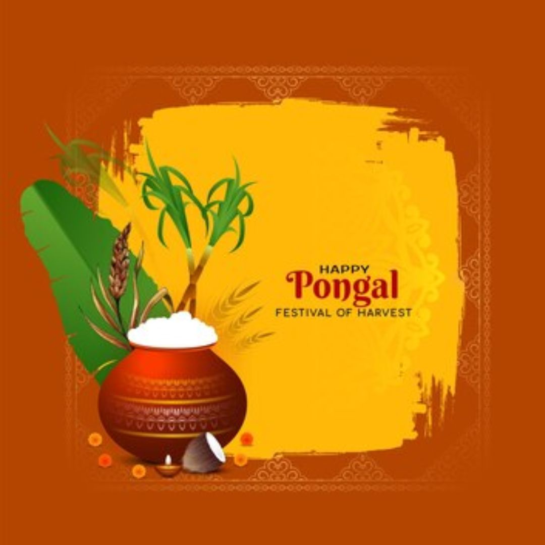 Pongal 2025 Date, Time, Significance And DayWise Rituals Of This