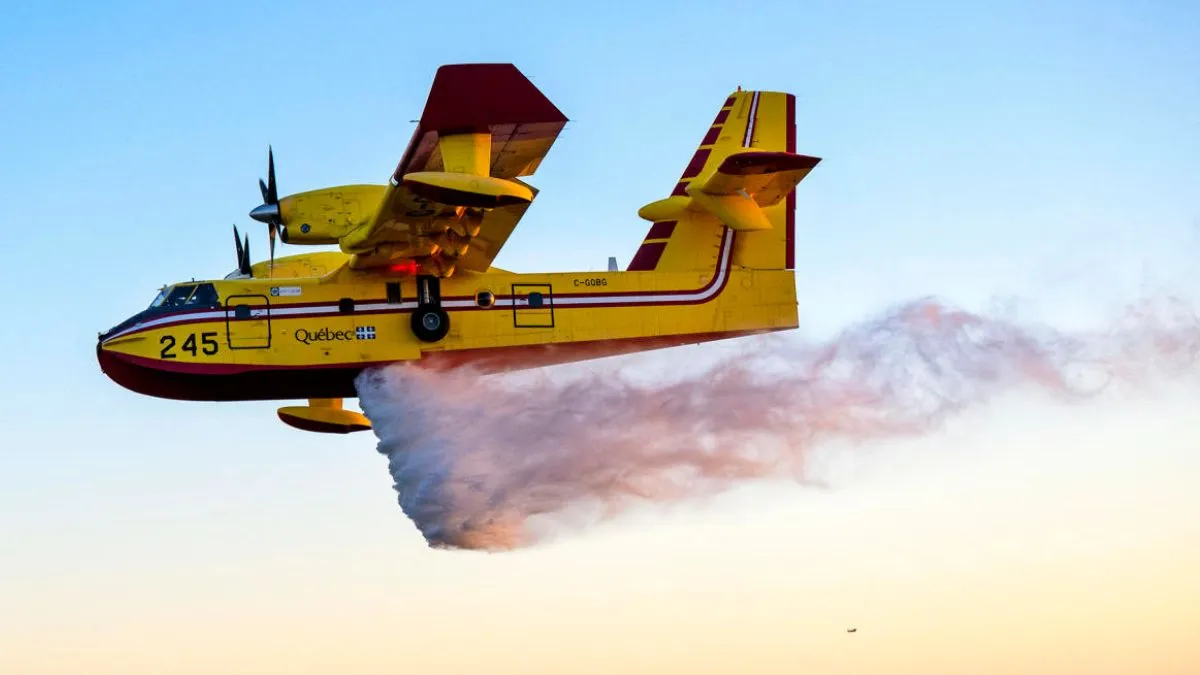 la-wildfire-2025-what-are-super-scoopers-planes-collecting-6000-litres-of-water-in-12-secs-to-douse-california-wildfires