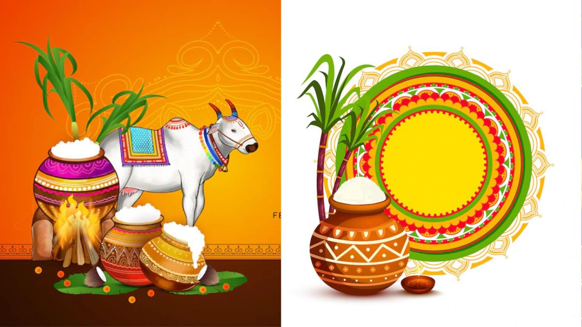 Happy Pongal 2025 Wishes, Rangoli Designs, HD Images To Celebrate