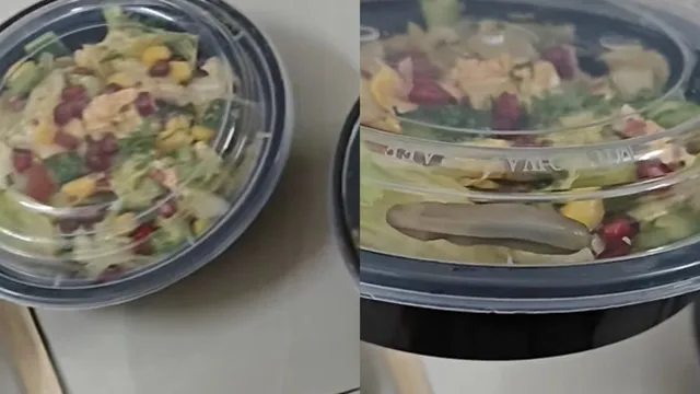 bengaluru-man-discovers-worm-in-salad-ordered-from-freshmenu-through-zomato-watch-viral-video