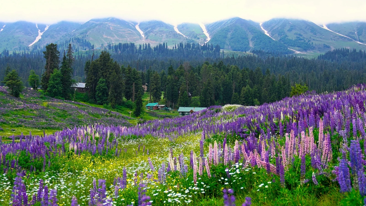 top 10 famous tourist spots in Uttarakhand valley of flowers