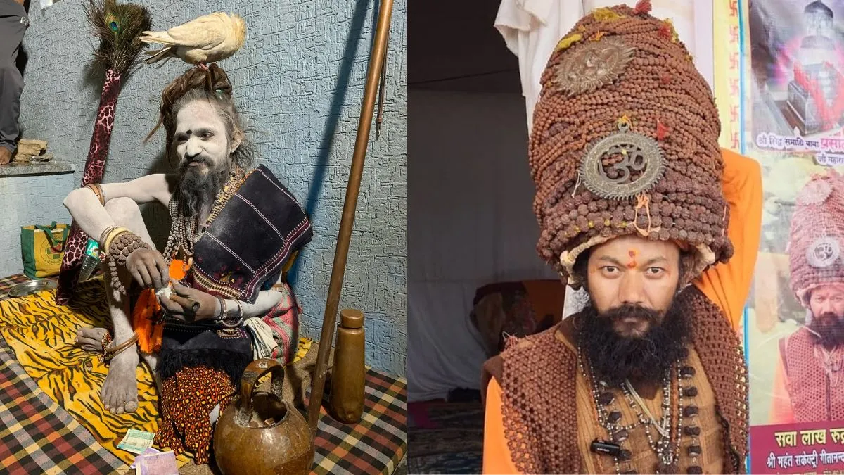 mahakumbh-mela-2025-meet-extraordinary-babas-who-are-making-waves-and-turning-heads-globally-iitian-baba-anaaj-wale-baba-kabootar-baba