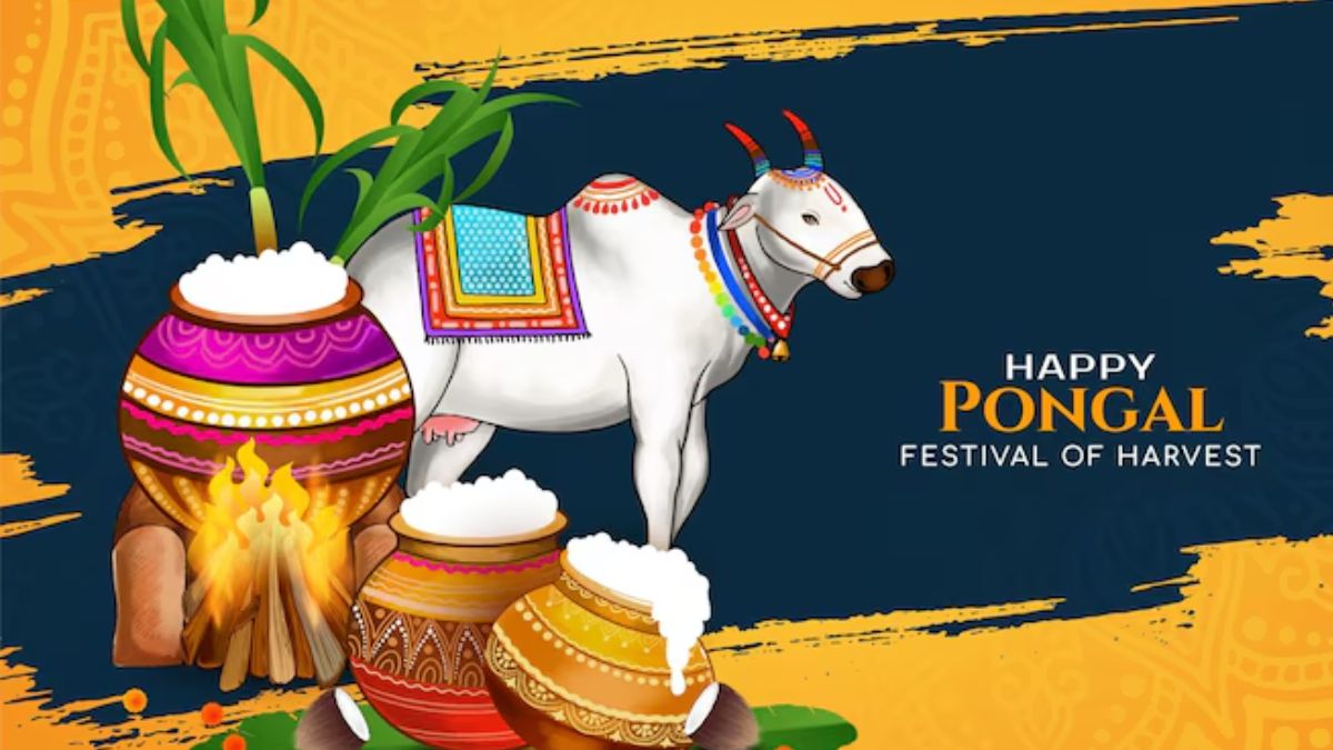 kaanum-pongal-16-january-2025