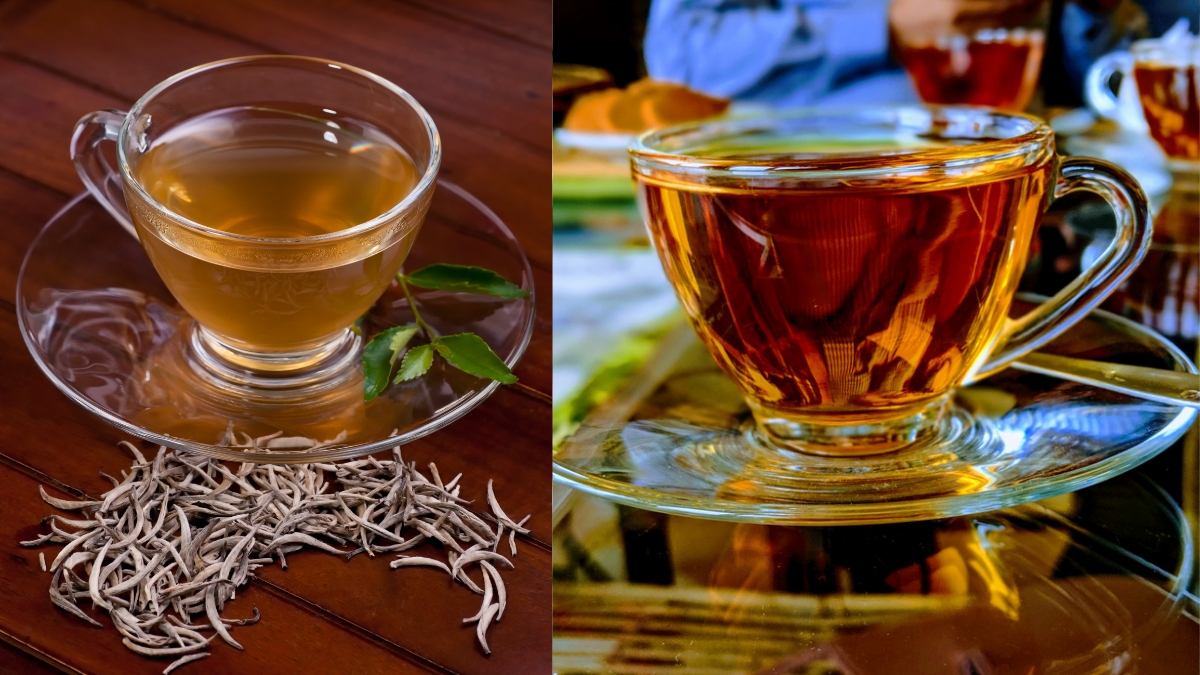 top 10 most expensive teas in the world 3