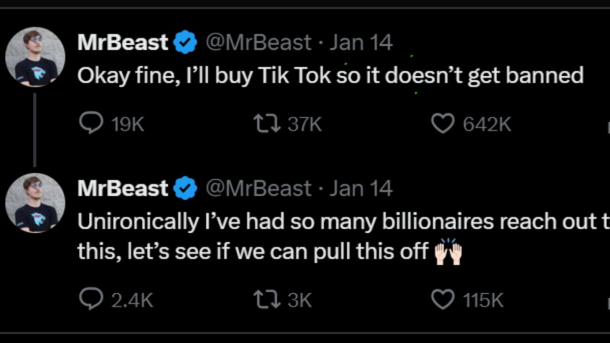mrbeasttwittertweekontiktok (1)
