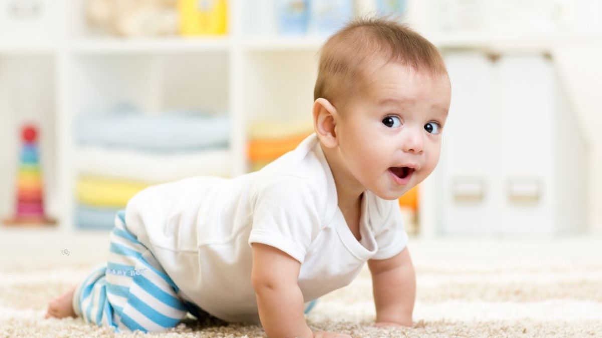 96-traditional-and-trendy-sikh-baby-girl-names-starting-with-a-and-their-meanings-complete-guide-january-2025