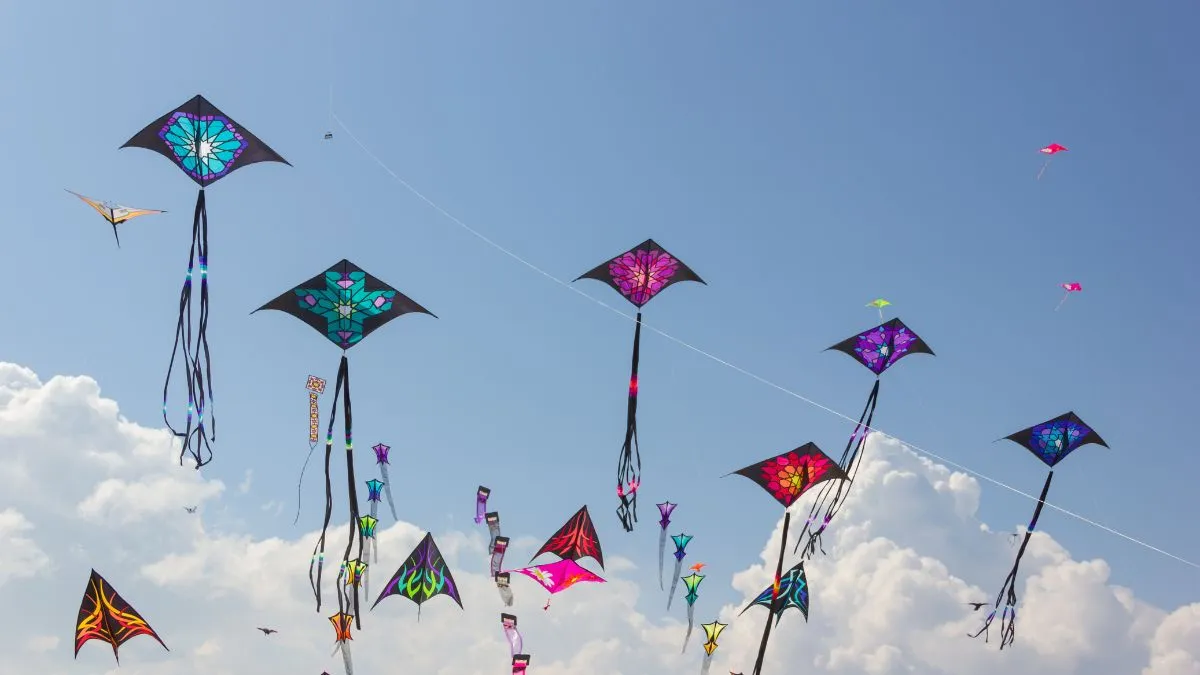 Pakistan Bans Kite Flying In Punjab, Imposes Up To 5 Years Imprisonment For Violations | Here's Why