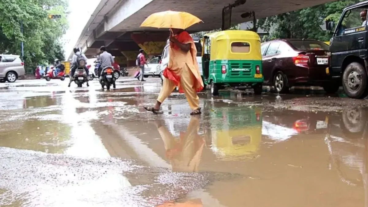 weather-update-delhi-ncr-witnesses-light-rain-dense-fog-expected-in-haryana-punjab