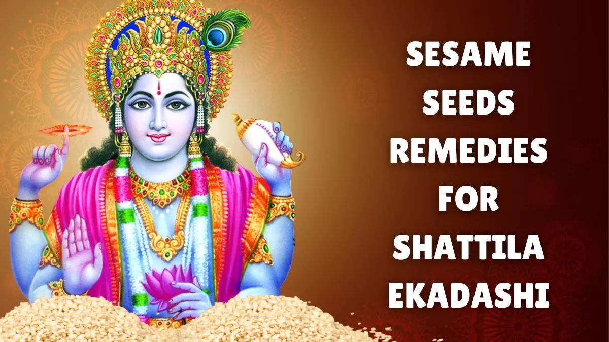 shattila-ekadashi-2025-follow-these-6-remedies-using-sesame-seeds-or-til-on-this-sacred-fast-for-good-luck-and-prosperity