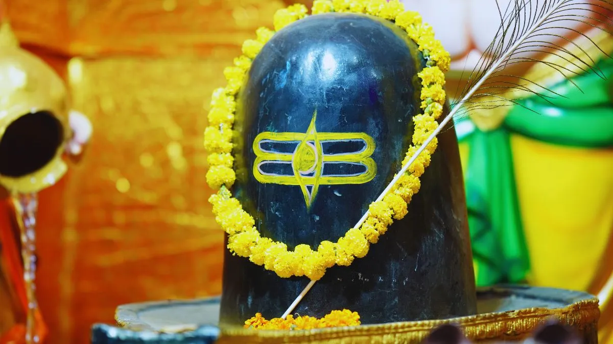 pradosh-vrat-january-2025-5-things-you-must-include-in-shivling-abhishekam-to-attract-good-luck