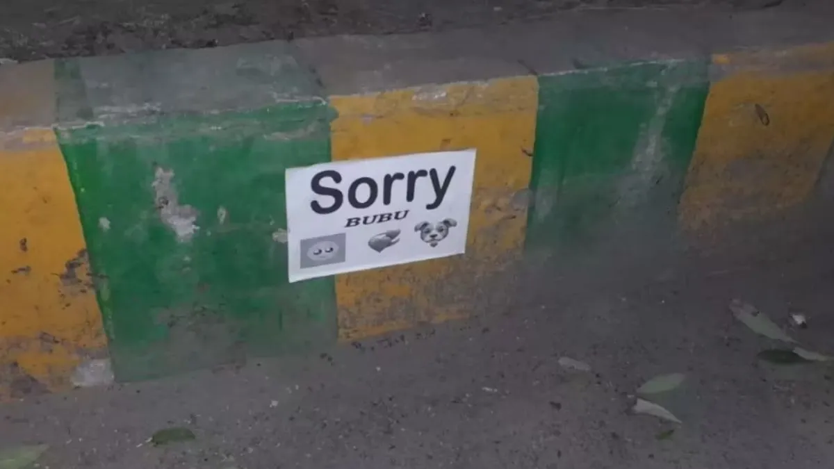 sorry-bubu-posters-stir-up-mystery-and-laughter-in-meerut-noida-as-viral-video-takes-over-internet