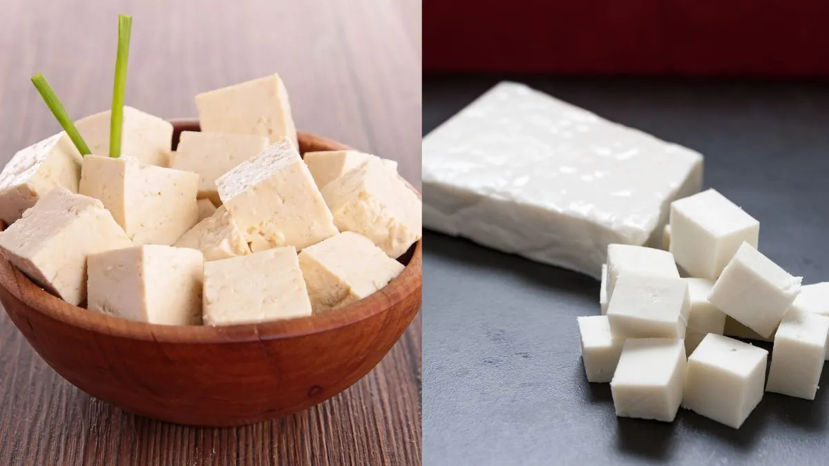 difference-between-tofu-and-panner-which-is-a-better-choice-to-increase-your-protein-intake