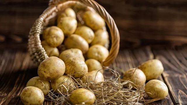 4-reasons-why-potatoes-are-versatile-vegetable-for-various-meals