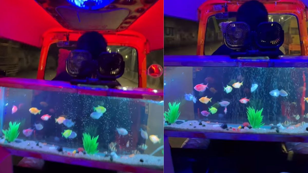 viralvideoofautodriverwithaquarium