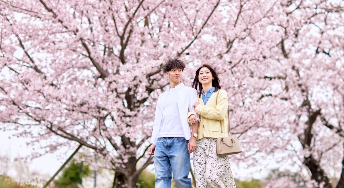 Say I Love You To Your Husband In Japanese