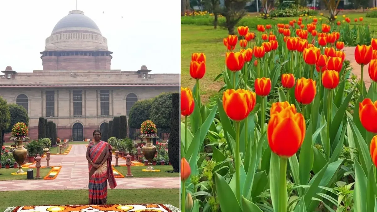top-10-limited-time-activities-to-do-in-delhi-this-february-2025-ed-sheeran-concert-to-surajkund-mela-and-more