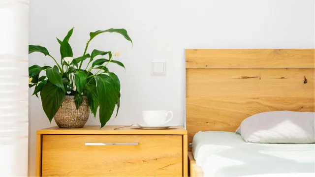 lily-plants-in-bedroom-do-you-know-about-these-benefits-of-keeping-them-in-your-cozy-space