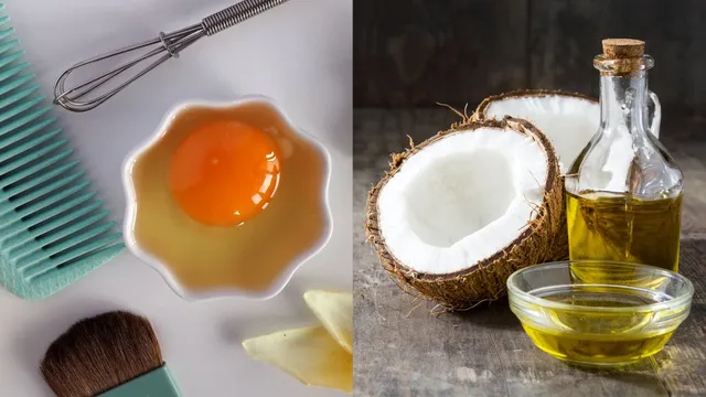 egg-vs-coconut-oil-which-is-a-better-choice-to-promote-quick-hair-growth