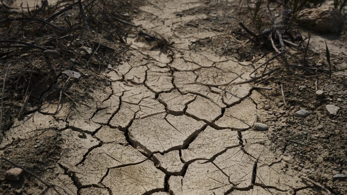 top 10 earthquake prone areas in India