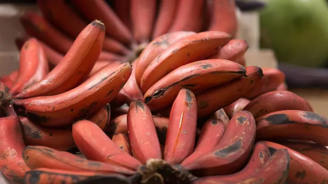 red-banana-health-benefits-4-amazing-reasons-to-consume-it-every-morning-on-an-empty-stomach