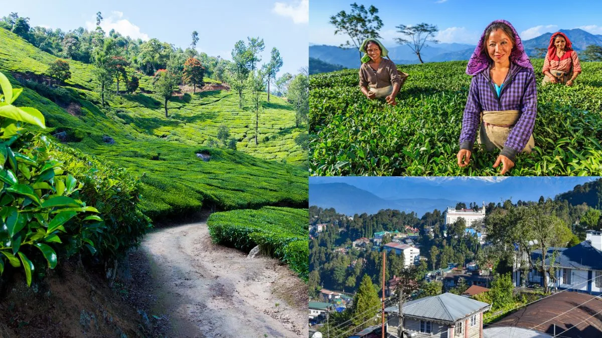 list-of-famous-tourist-spots-in-india-during-spring-season-kashmir-kerala-meghalaya-and-more