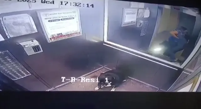 noida-woman-arrested-for-assaulting-minor-boy-over-dogs-entry-in-society-lift-cctv-captures-incident-watch